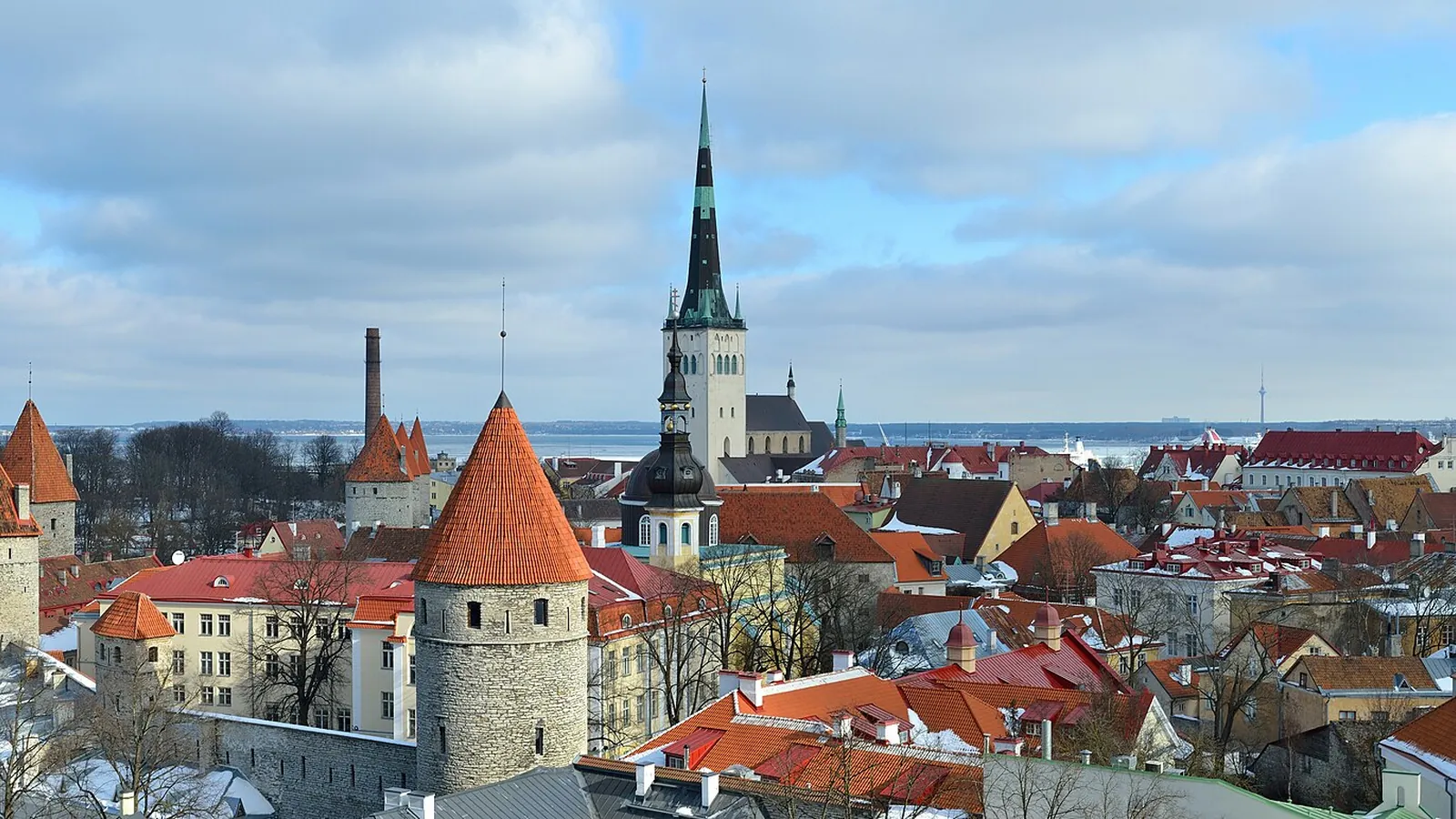 Estonya Vize Randevusu: Tallinn Seyahati İçin Vize Nasıl Alınır?