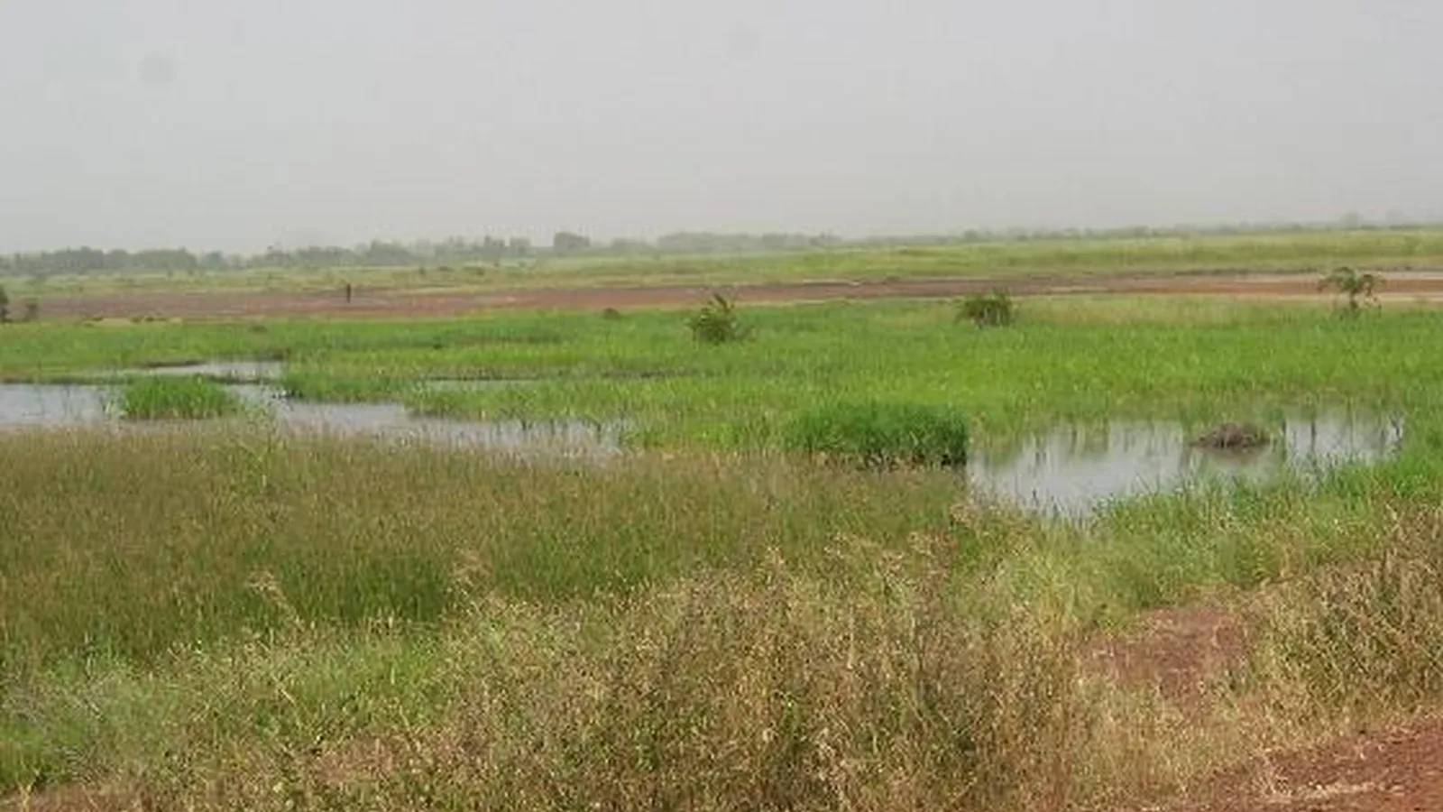 Gambiya Vizesi Nasıl Alınır? Banjul ve Nehir Rotası İçin Randevu Rehberi